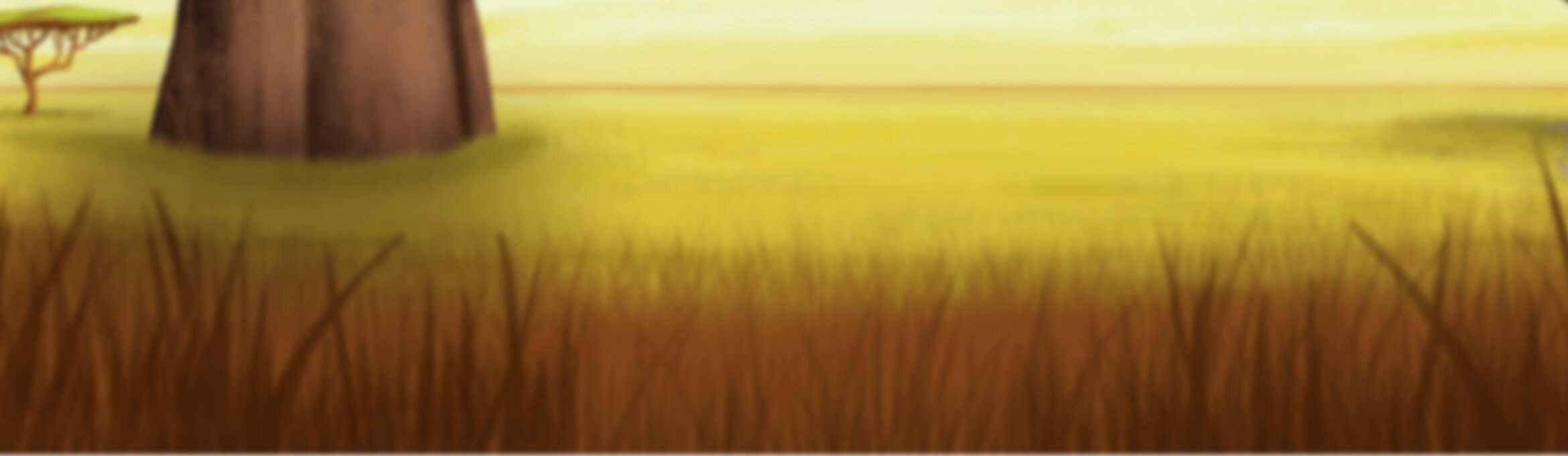 Safari