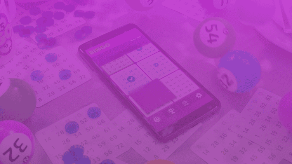 Bingo - Bingo - Spilnu