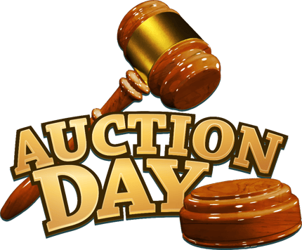 Auction Day - Slot machine - Spinking