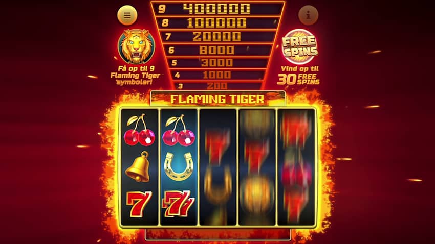Slide af spillet Flaming Tiger